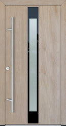 Turenwerke Glassline DS82 Design GLAS05 Steel Door - Wood Finish Options