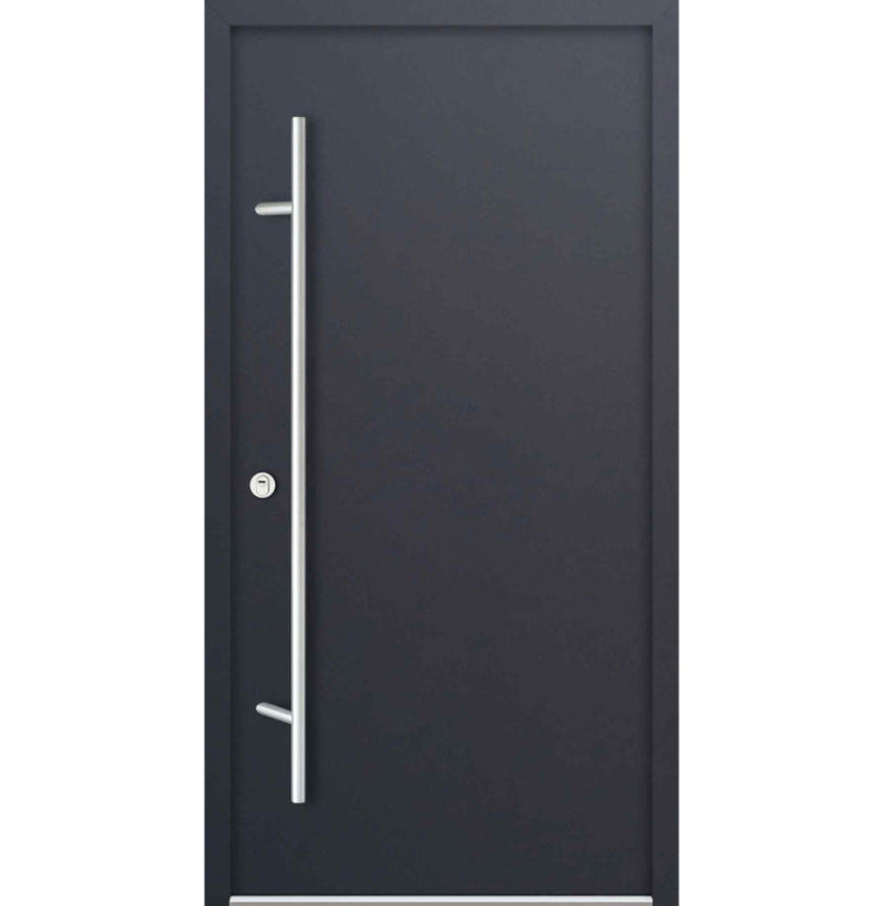 Turenwerke DS68 Design 00 Steel Door - Anthracite