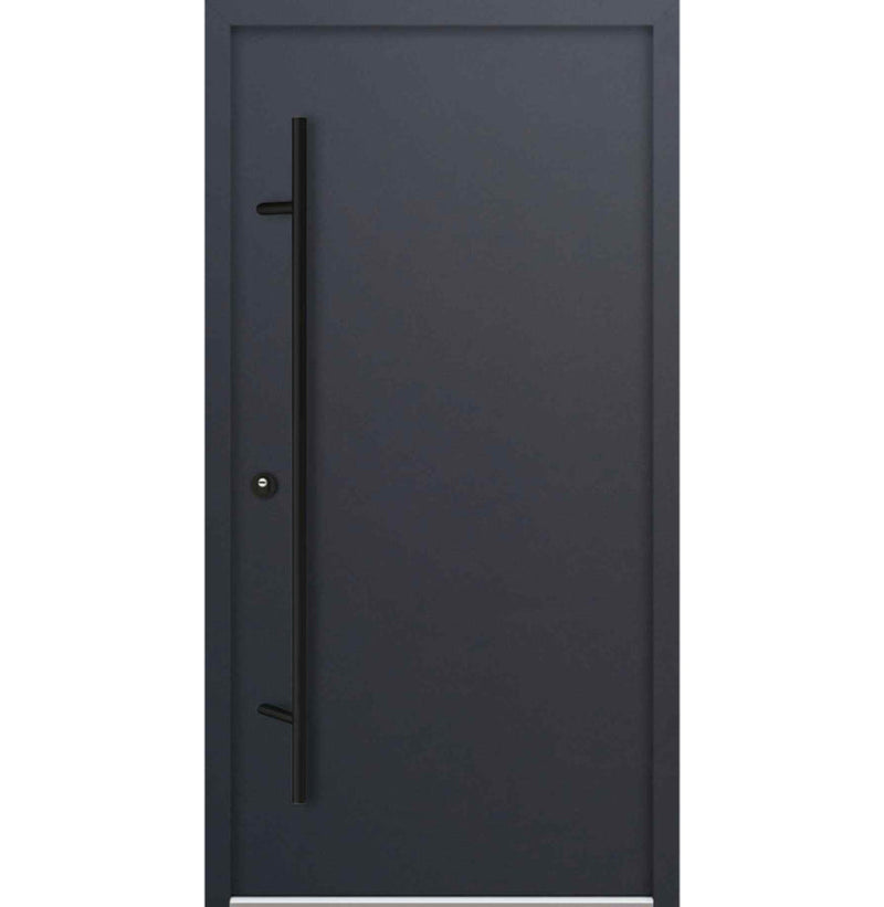 Turenwerke DS68 Design 20 Steel Door - Anthracite - Blackline