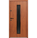 Turenwerke ATU 68 Design 620 Steel Door - Golden Oak - Blackline