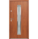 Turenwerke ATU 68 Design 600 Steel Door - Golden Oak