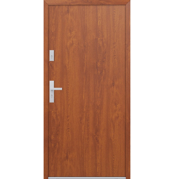 Turenwerke ATU 68 Design 507 Steel Door - Golden Oak