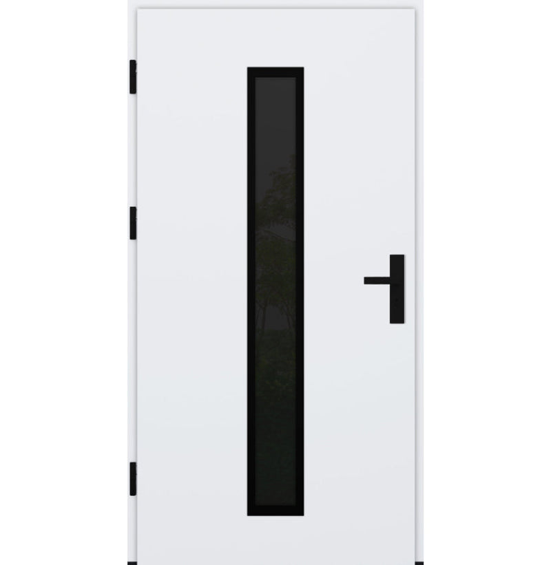 Turenwerke DS82 Design 21 Steel Door - White - Blackline