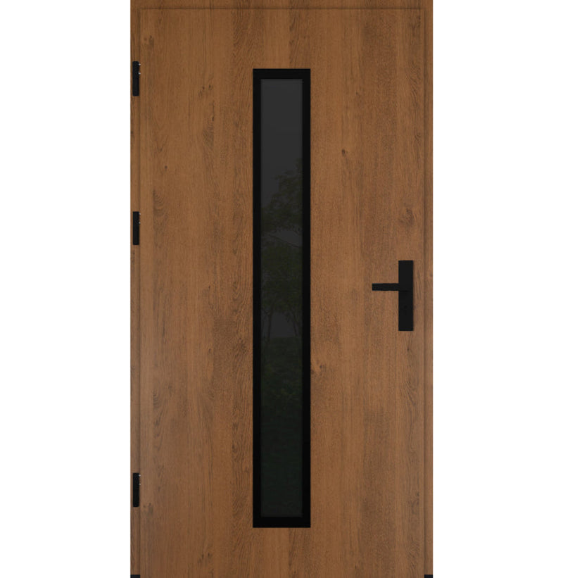 Turenwerke DS82 Design 21 Steel Door - Winchester - Blackline