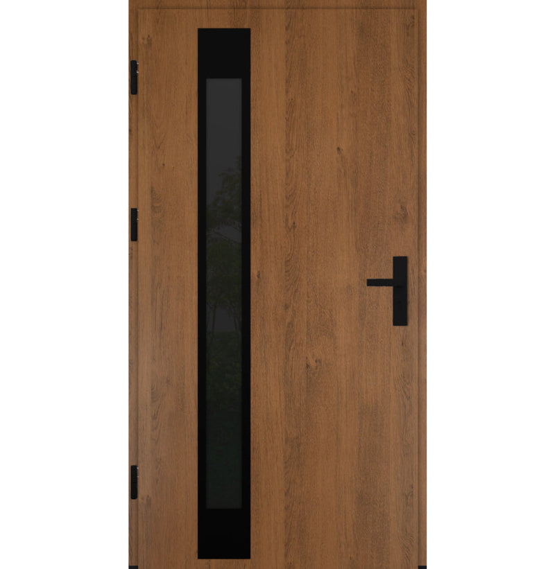 Turenwerke DS82 Design 24 Steel Door - Winchester - Blackline