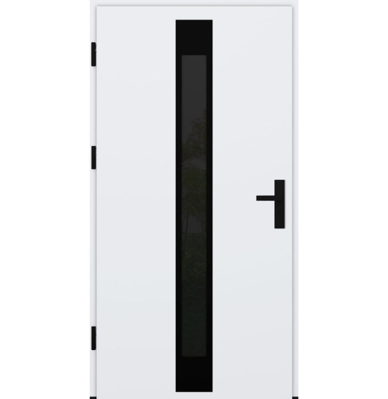 Turenwerke DS82 Design 25 Steel Door - White - Blackline