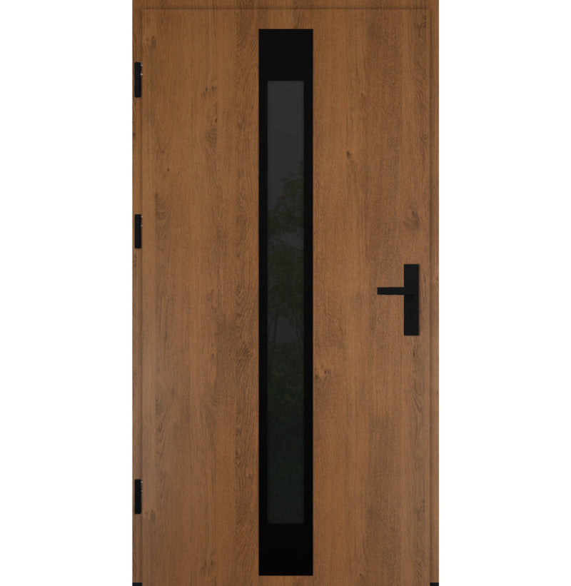 Turenwerke DS82 Design 25 Steel Door - Winchester - Blackline