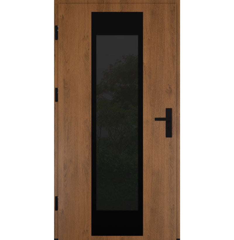 Turenwerke DS82 Design 28 Steel Door - Winchester - Blackline