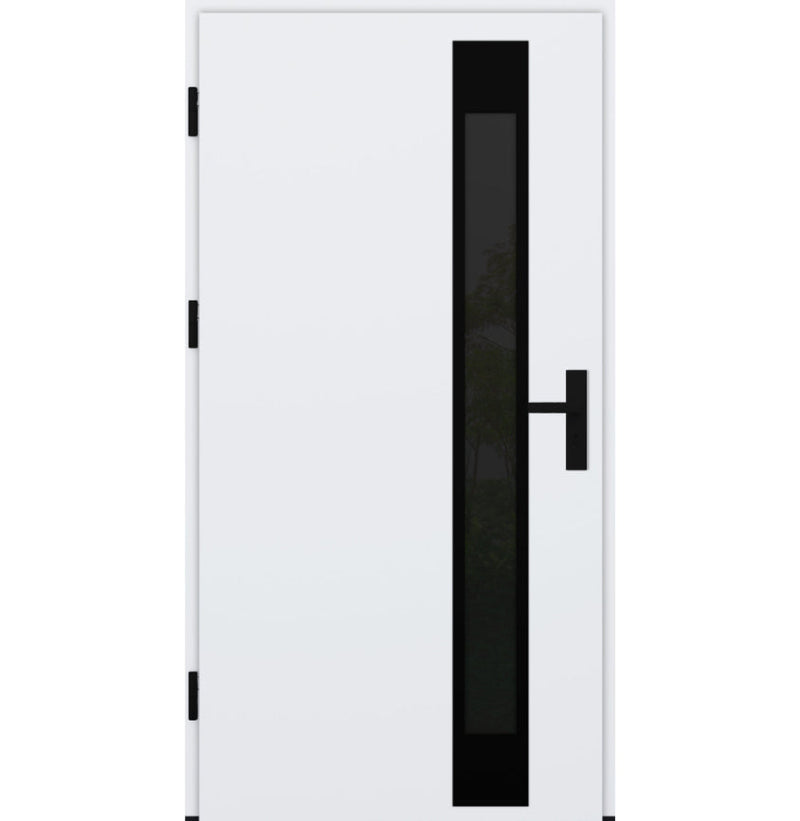 Turenwerke DS82 Design 34 Steel Door - White - Blackline