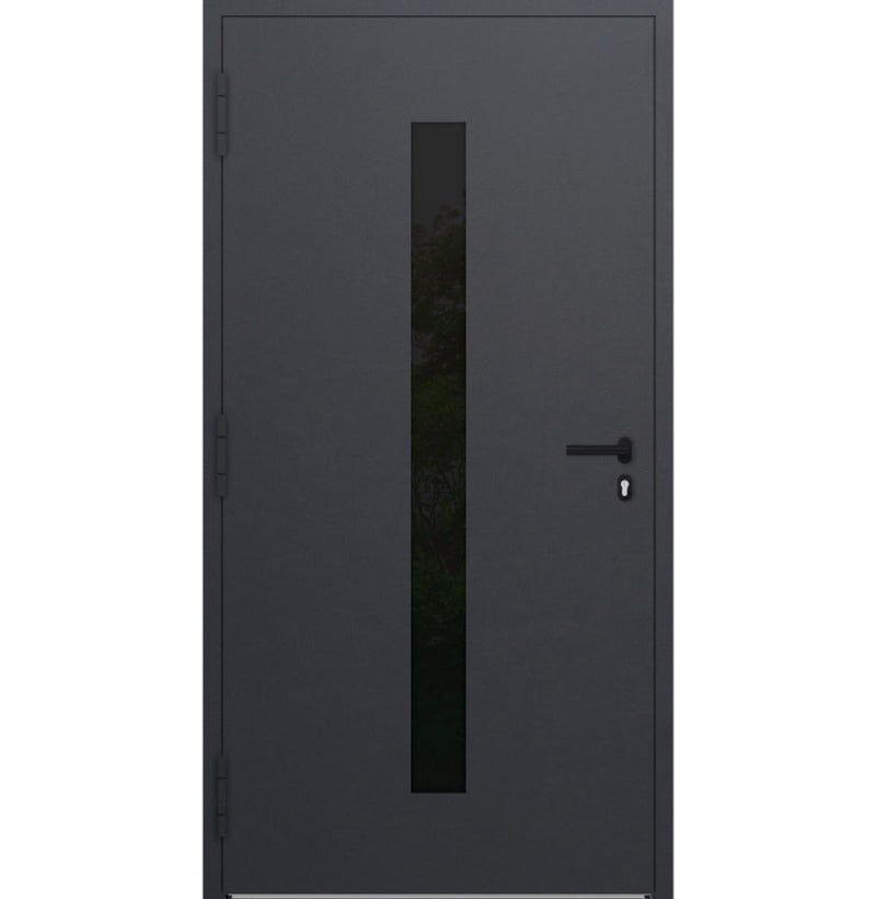 Turenwerke P90 Design 21 Aluminium Door - Anthracite DB703 - Blackline