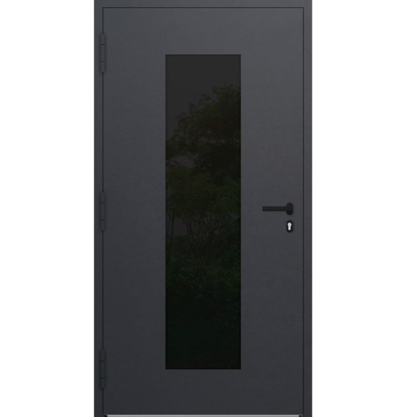 Turenwerke P90 Design 28 Aluminium Door - Anthracite DB703 - Blackline