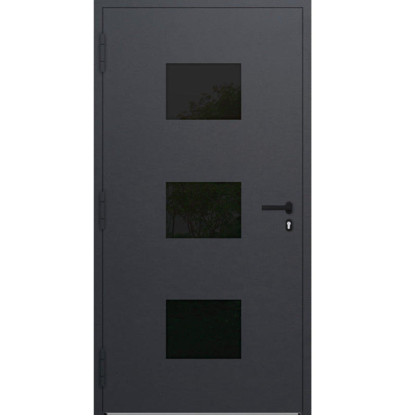 Turenwerke P90 Design 310 Aluminium Door - Anthracite DB703 - Blackline