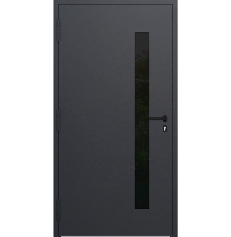 Turenwerke P90 Design 34 Aluminium Door - Anthracite DB703 - Blackline